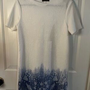 Zara White and Blue Sheath Mini Dress